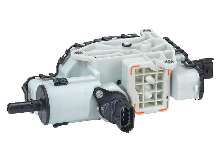 Image-1