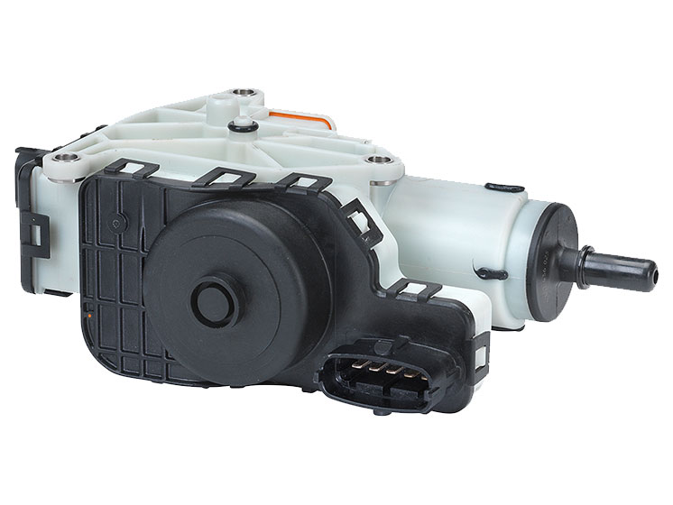 Image-2