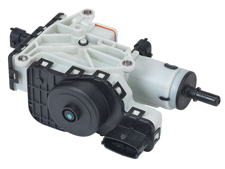 Image-3